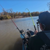 Spencer Bauer hooks into a fish as his Hellcat rod bends sharply on a fast-flowing winter river.